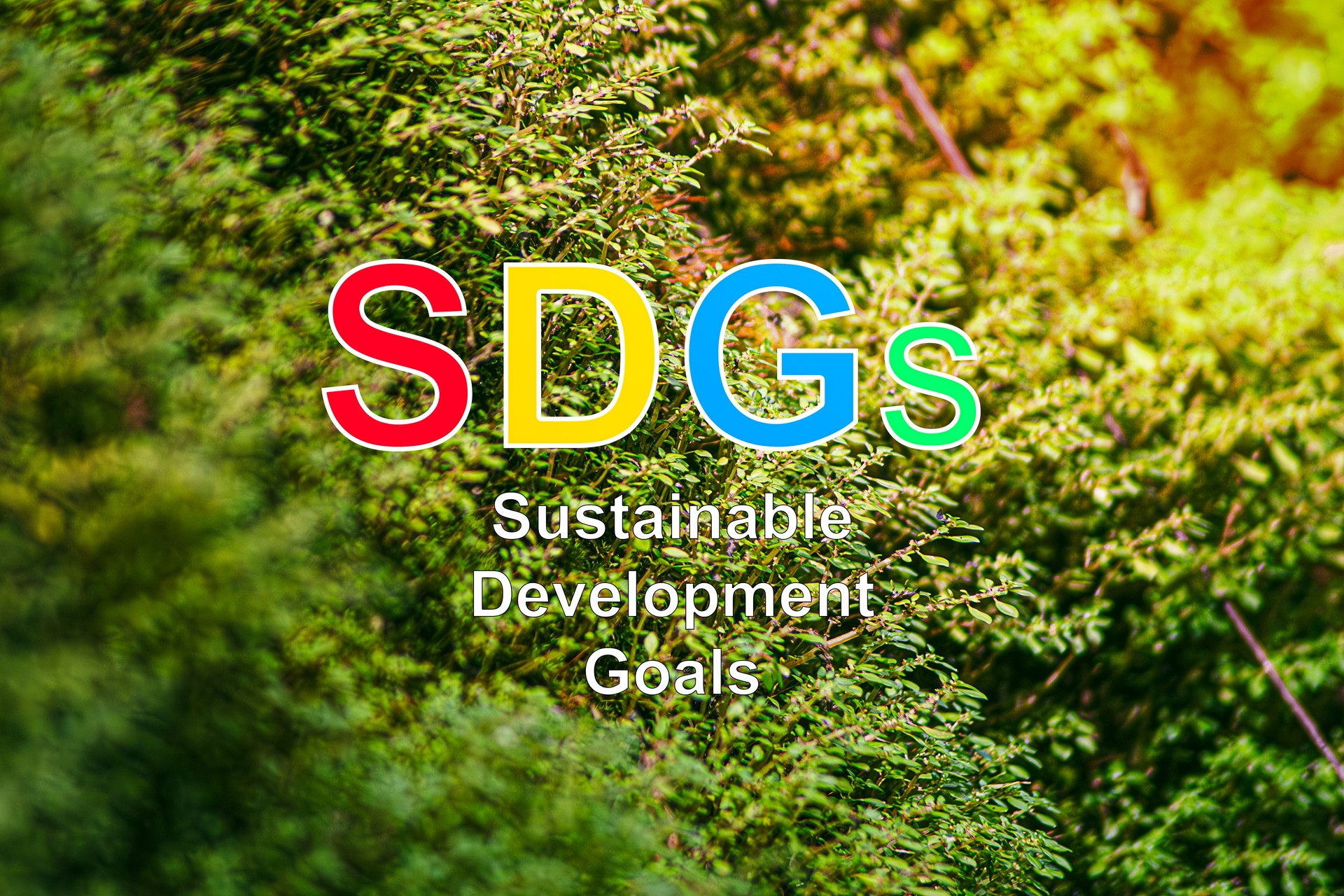 The SDGs or Sustainable Development Goals, are a set of 17 goals established by the United Nations UN to guide sustainable global development covering economic social and environmental dimensions.