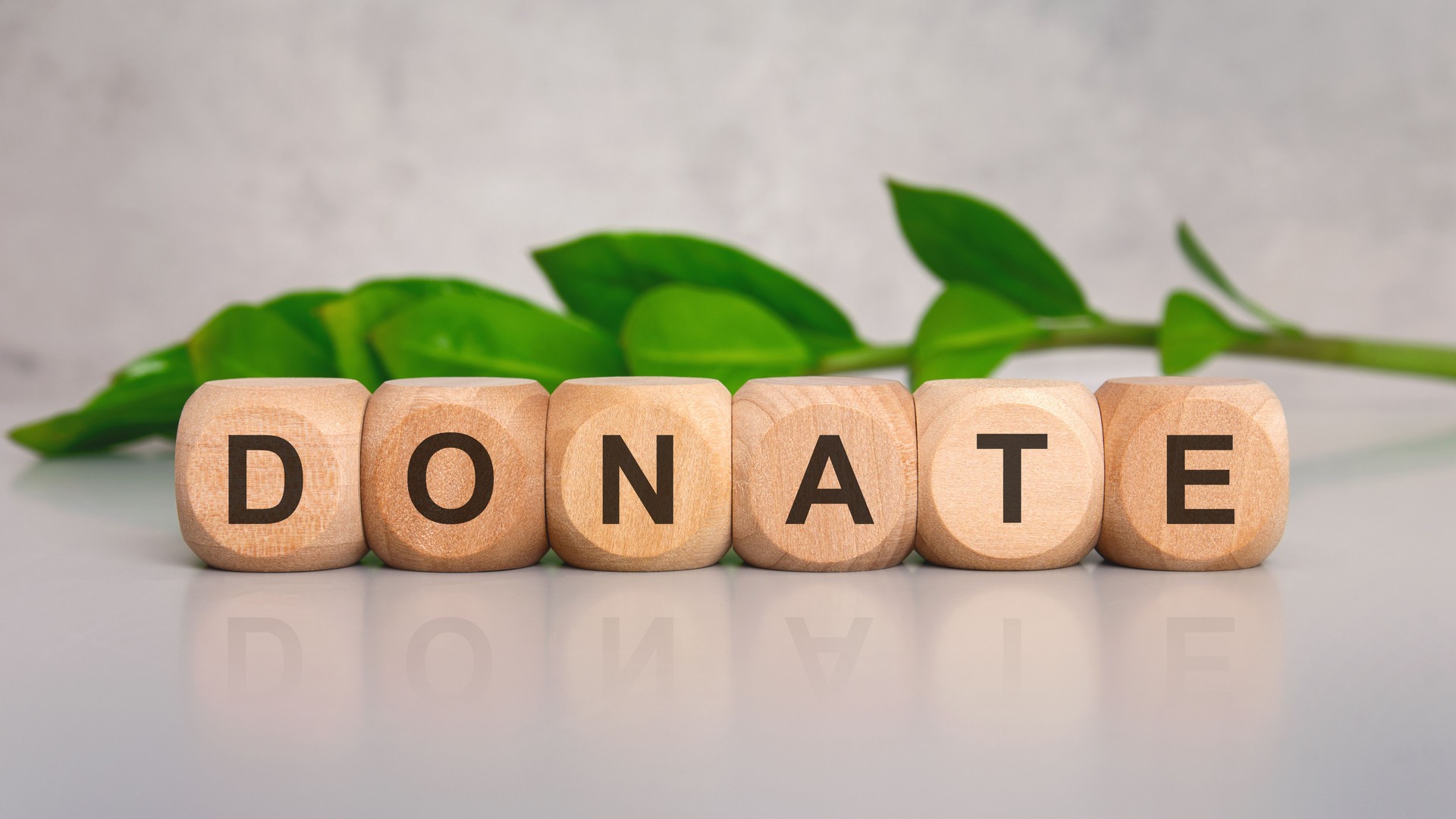 wooden cubes with the word DONATE on light surface with green leaves background